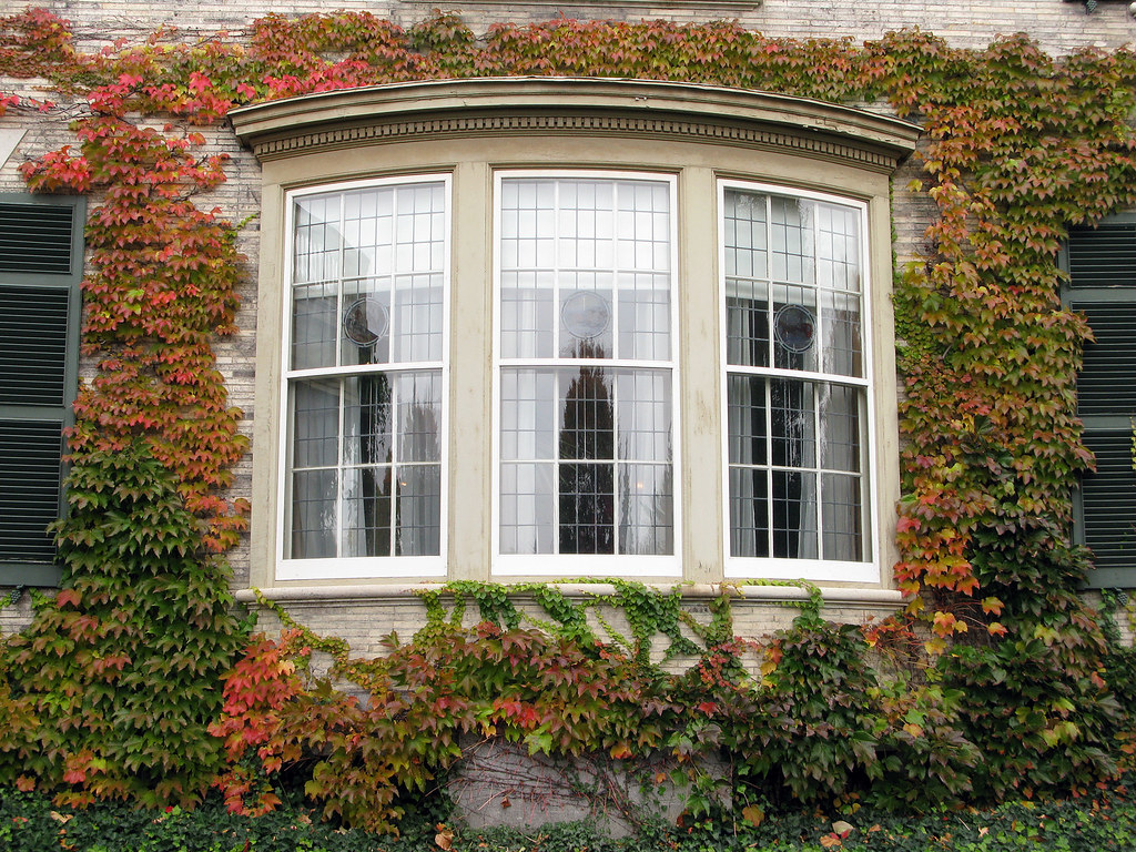 bow-window-replacement-loves-park-il